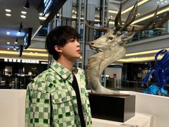 -红星美凯龙北京至尊MALL(东四环中路店)