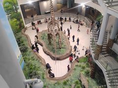 -辽宁古生物博物馆