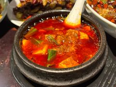 -陈麻婆豆腐总店