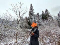 -武陵山森林公园