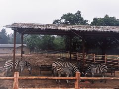 -西安秦岭野生动物园