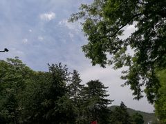 -延安杨家岭革命旧址