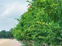 -汉长安城未央宫国家考古遗址公园