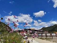 -五台山风景区