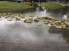 -白塘生态植物园