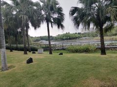 -映月湖公园