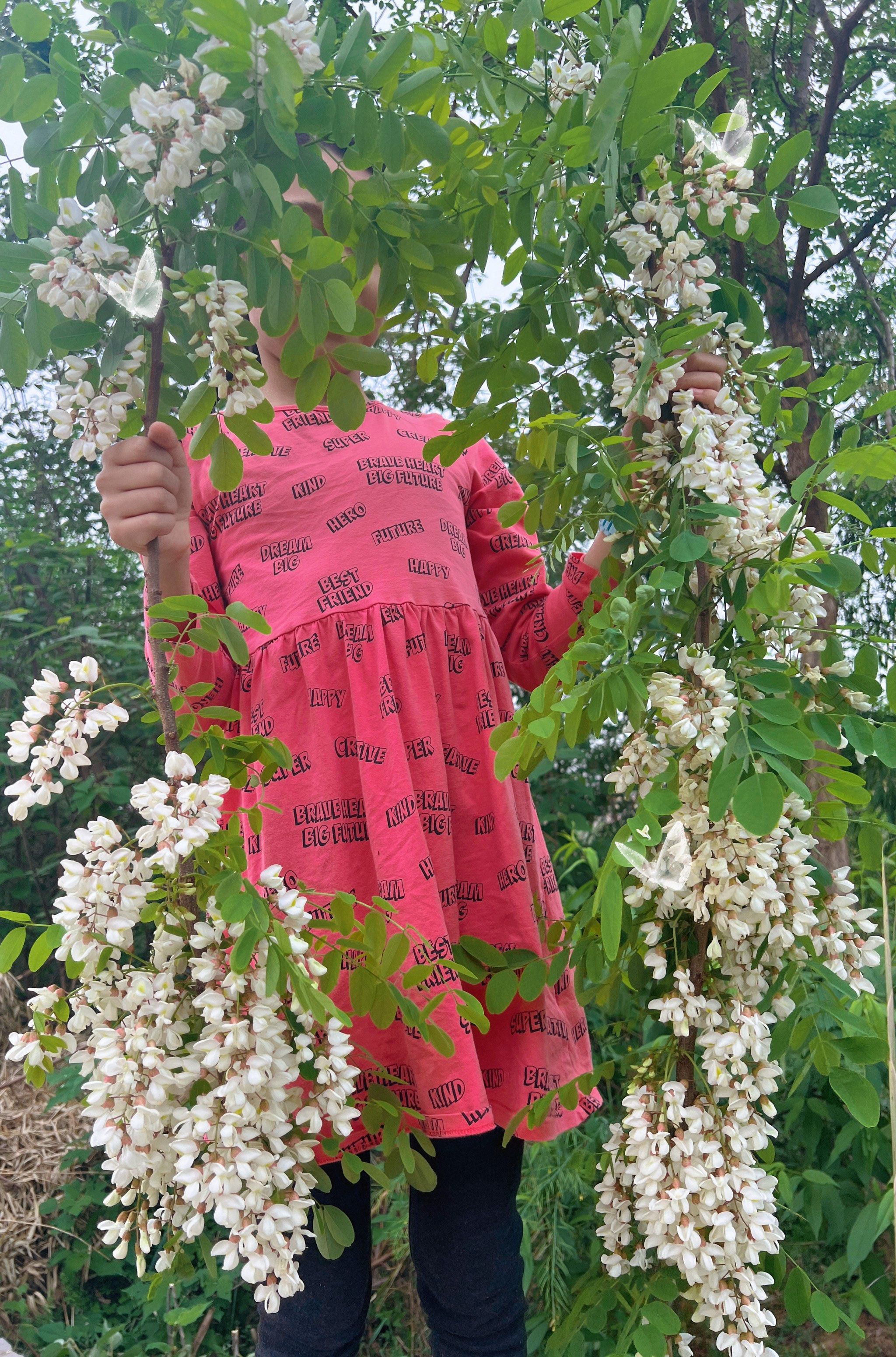 太多了,根本摘不完91