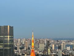 -六本木新城展望台(东京城市景观)