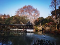 -上海醉白池公园
