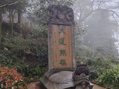 -青城山