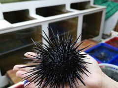 -南蚝小贝海鲜特色餐厅(南澳岛店)