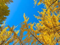 -辽东学院(南校区)