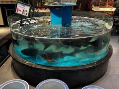 -魏铭鱼头捞饭(晋阳路店)