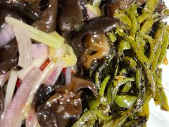 -老号尤兔头(幸福店)