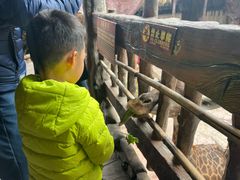 -长鹿旅游休博园