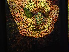 -URBAN REVIVO(深圳华润万象天地店)