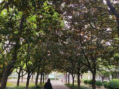 -上海大学(宝山校区)