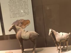 -西安大唐西市博物馆