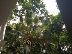 二楼景观位-星巴克臻选(广州沙面店)