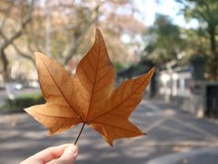 -颐和路民国时期公馆风貌区