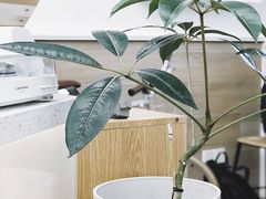 -Onirii Coffee(长乐路店)