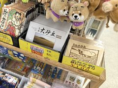 -鳥取砂丘会館