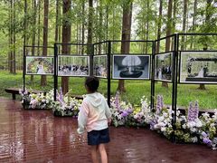 -黄海国家森林公园