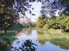 -小洲村