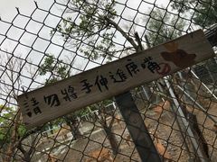 -鹿境梅花鹿生态园区