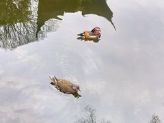 -拙政园