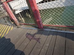 -大澳