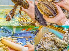 -华威西营里农产品批发市场