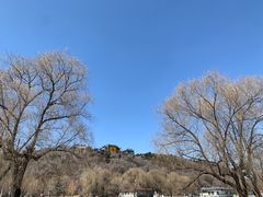 -北山公园