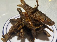 -呼吸森林·生态农庄农家乐私房菜