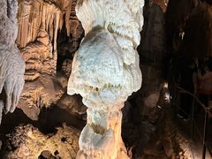 -波斯托伊纳溶洞