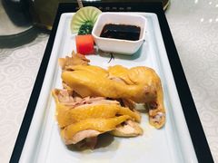 -四季春