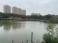 -顺德美食坊(南沙分店)