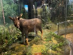 -陕西自然博物馆