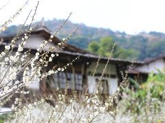 -福建天门山