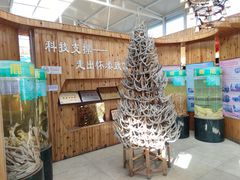 -北京鹿世界主题园