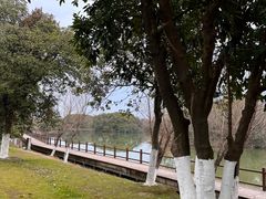 -艾溪湖湿地公园
