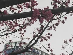 -簋街