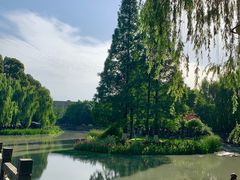 -温江公园