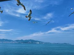 -刘公岛景区
