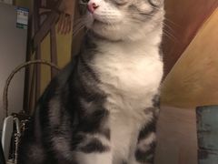 -咖法森林·咖啡  酒吧(天河店)