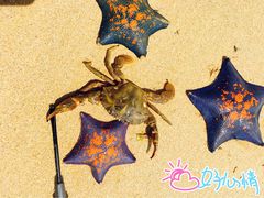 -青岛银沙滩