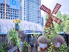 -柴犬高等学院·狗咖·柴犬售卖·宠物训练