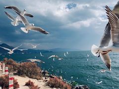 -大理洱海