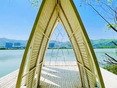 -长兴太湖图影湿地文化园