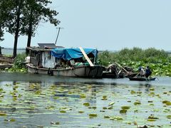 -微山湖红荷湿地景区